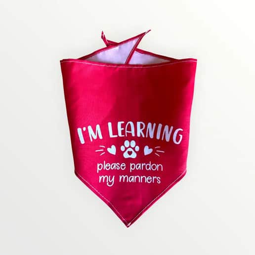 I am Learning Hundhalsduk 2