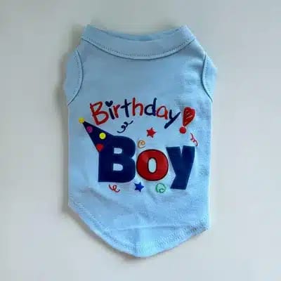Birthday Boy T-shirt 22