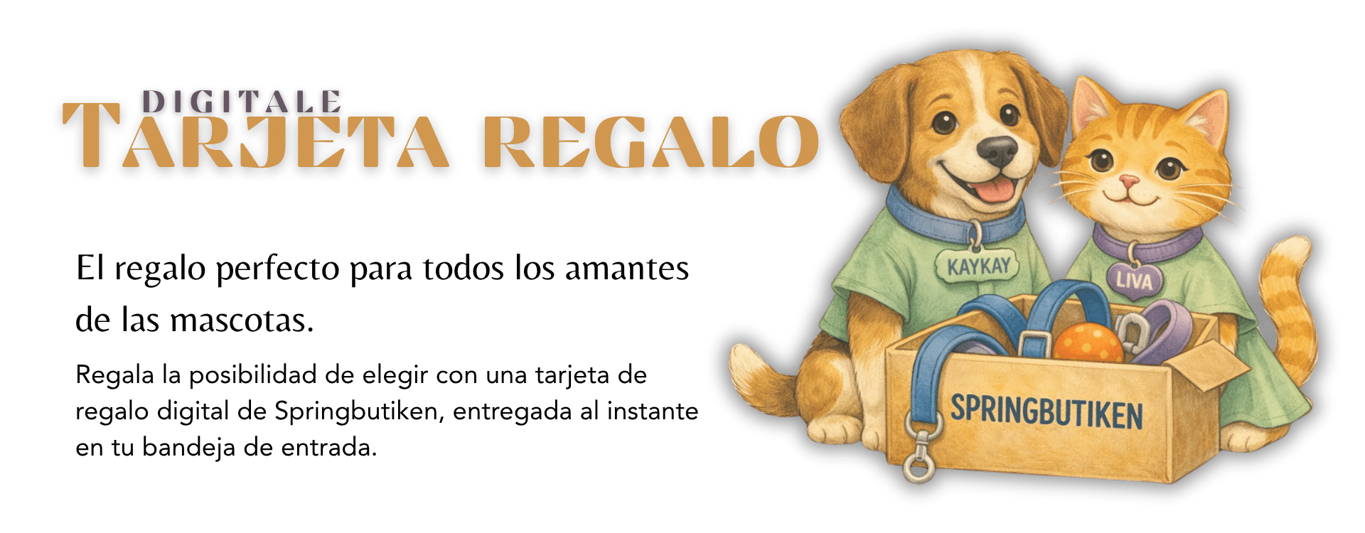 Tarjetas de Regalo
