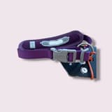 Hurtta Weekend Warrior collar in purple, shown from the side with reflective details