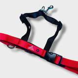 Halti Training Easy Walk Harness M in red and black, overview on a light surface