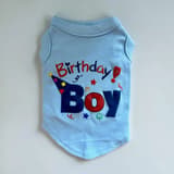 Birthday Boy T-shirt 22 cm ljusblå med festhatt och stjärnor