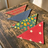 Detaljbild av Röda Stjärnor hundbandana