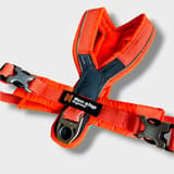 Detaljebillede af Non-Stop Dog sele S2, orange nylonmateriale