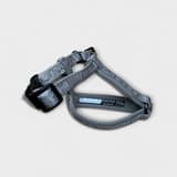 Adjustable red Hurtta Casual dog harness 30-35 cm, detail of chest strap and buckle, SpringButiken