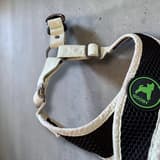 Gooby Choke Free Active X step -koiravaljaat mintun ja mustan värisenä, D-renkaan yksityiskohta