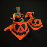 Halloween bandana och pumpaväska för hund