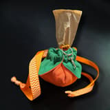 Närbild på Halloween hundbandana