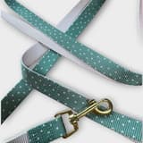 Mint green and pink polka dot dog leash from SpringButiken