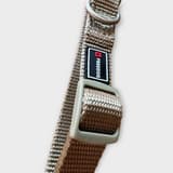 Close-up of Freedog collar buckle and adjustment details