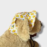 Yellow duck sun hat for small dogs, front view