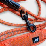 SpringButiken: Begagnat Feel Active halsband och repkoppel i svart, för hundar