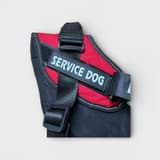 Yksityiskohtainen kuva puna-mustan "Service Dog" valjaan tukevasta soljesta ja säädettävistä hihnoista.