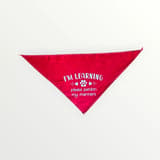 Close-up of I am Learning dog scarf with printed text and ladybug details