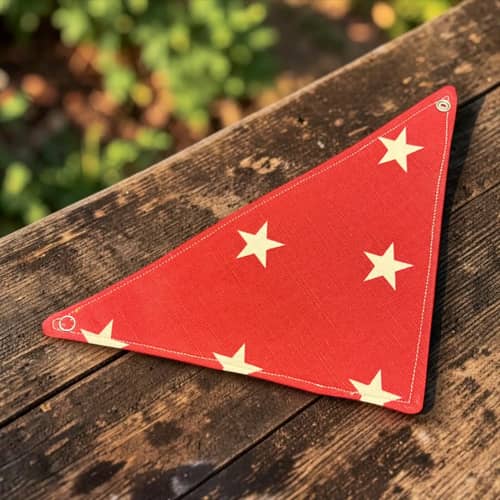 Röda Stjärnor hundbandana