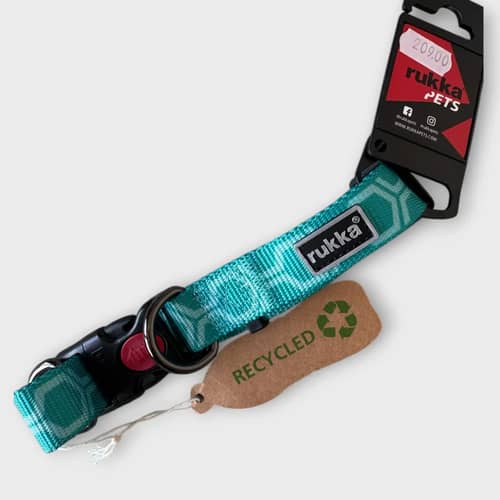 Rukka turkos hundhalsband i närbild, storlek M, justerbart 30-50 cm