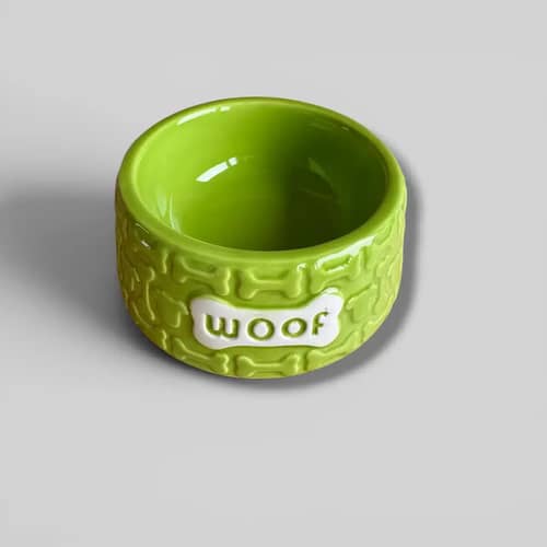 Green pet bowl with "woof" text on a white bone-shaped tag.