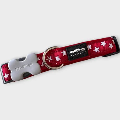 RedDingo hundhalsband i rött med stjärnor, storlek S, för små hundar