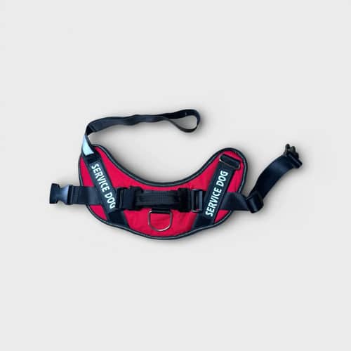 Red and black "Service Dog" dog harness with text on the sides, adjustable and in size L.