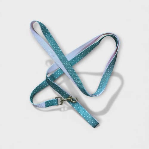 Colorful polka dot dog leash in mint green and pink, ideal for walks.