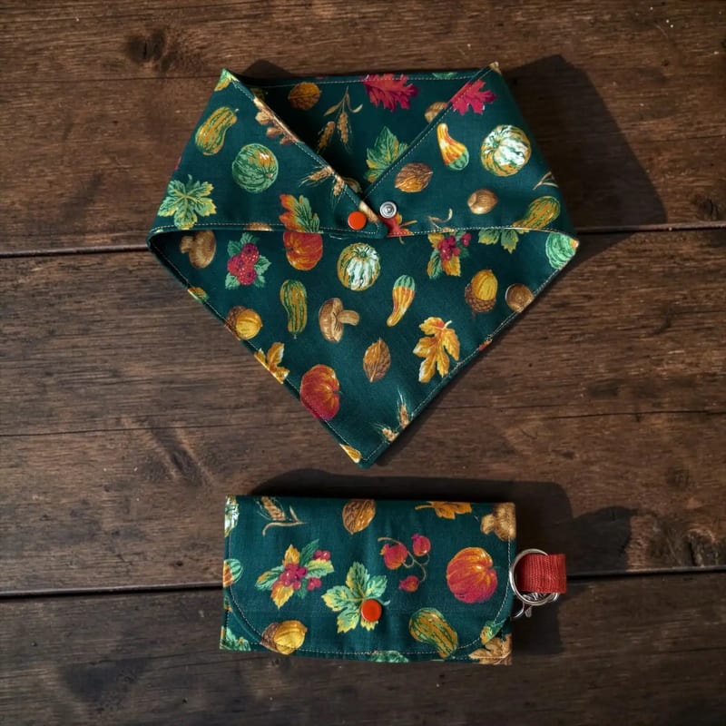 Grön hundbandana med mönster i färger och knapp i hörnet, med matchande liten plånbok på bord
