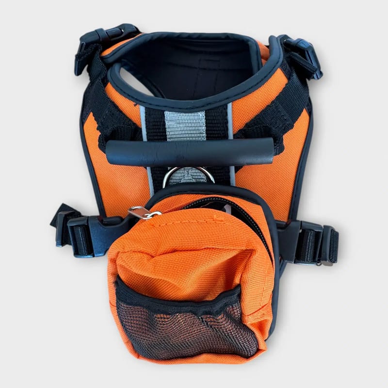 Paws Crazy hundesele med matchende taske i 'Paws Crazy' mønster.