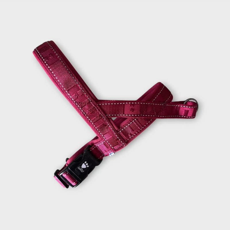 Röd Hurtta Casual ECO H-sele i storlek 60-70 cm