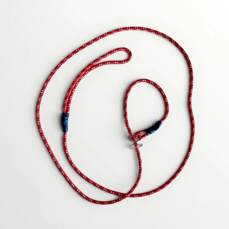 Red retriever lead with reflector, 175 cm, with cord in focus