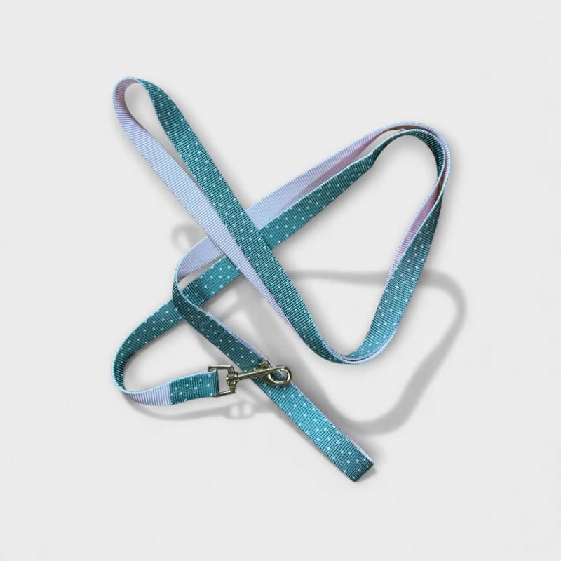 Colorful polka dot dog leash in mint green and pink, ideal for walks.